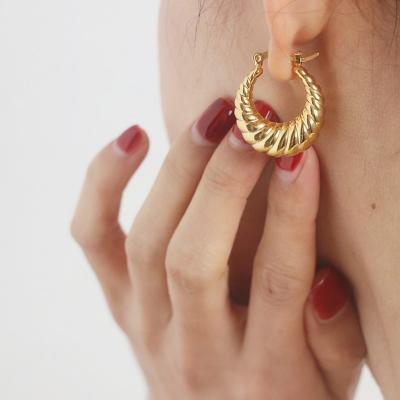 China Hot Selling TRENDY Screw Twisted Earring 18k Gold Plated Stainless Steel Crescent Hoop Earrings For Women for sale