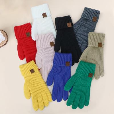 China Winter Winter Gloves For Women Touch Screen Double-Layer Cashmere Elastic Thermal Knit Lining for sale