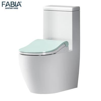 Cina Cheap Wholesale Double-flush Apartment Western Smart One Piece Toilet in vendita