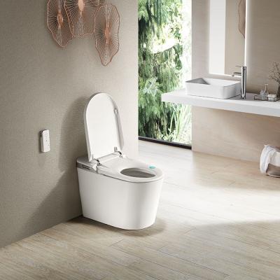 Κίνα Double-flush Well Selling Modern Luxury Hotel One-piece Gravity Toilet προς πώληση