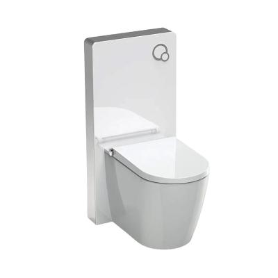 Cina Double Cistern Glass Top Push Concealed Cistern Flush Back To Wall Flush Toilet Concealed Cistern With Ce in vendita