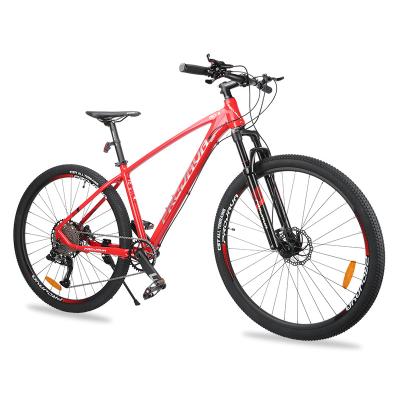 China PROJAVA 12speed Aluminum Alloy Clutch Mtb 29 Hydraulic Disc Brakes Shock Absorption Mountain Bike for sale