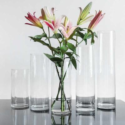 China Simple Straight Rustic And Clear Small Diameter Clear Glass Vase For Home Decoration for sale