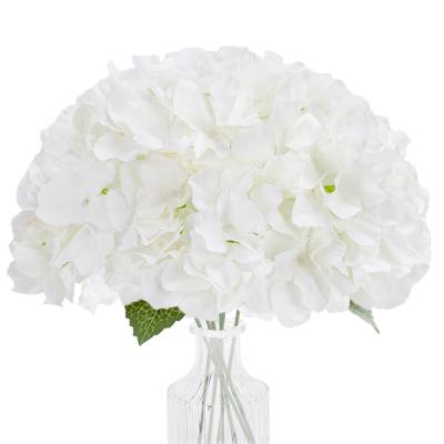 China 10PCS Touch Natural Artificial Hydrangea Hydrangea Floral White Hydrangea Bouquets For Wedding Valentines Garden Decors for sale