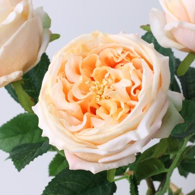 China Simple handmade suitable style European European flower of Valentine's Day decoration and gifts moisturizing peony for sale