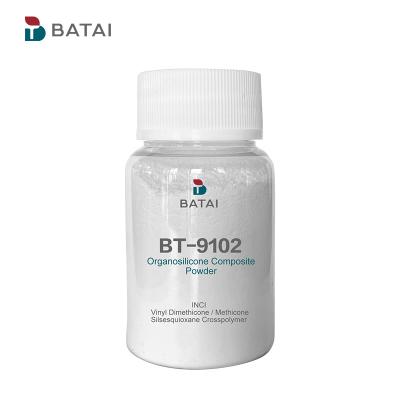 China BT-9102 Pó Cosmético de Silicone KSP 101 Fornece Efeito de Controle de Oleosidade em Pó Solto à venda