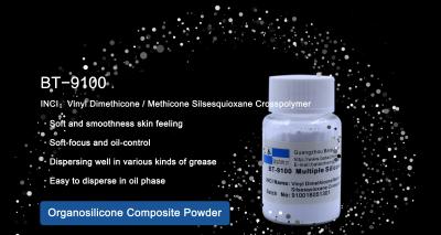 China Efeito liso de superfície de revestimento composto de Methicone Silsesquioxane Crosspolymer do pó do silicone à venda