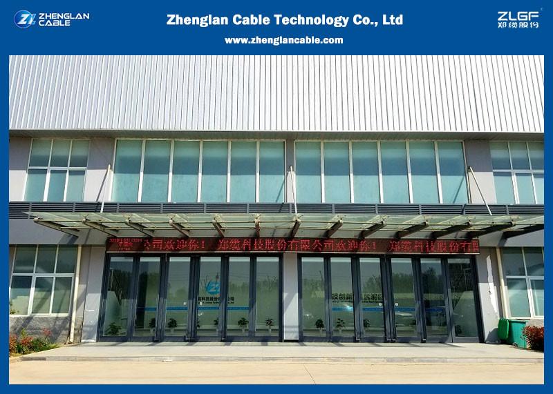 確認済みの中国サプライヤー - Zhenglan Cable Technology Co., Ltd