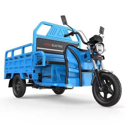 China 2021 Hot Selling 1000w Powerful Electric Cargo Tricycles for sale