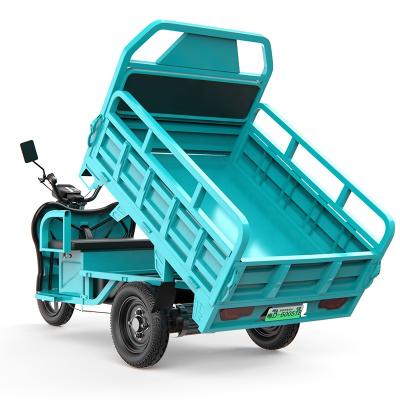 China 2021 Cargo Factory Direct Sales 3 Wheel Motorcycle Cargo for sale