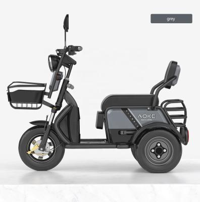 China Foldable Passenger /Cargo Ghana Tricycle Differentiential Motor Leisure for sale