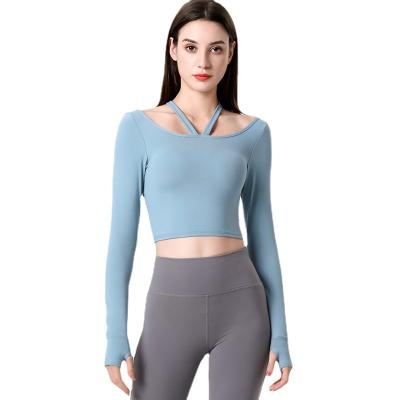 China Factory Price High Standard Solid Color Breathable Nylon Women Long Sleeve Tops Fashionable for sale