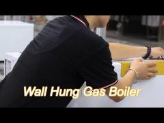 lpg gas water heater  natural exhaust with digital control