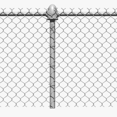 China Easily Assembled Privacy Strip Wire Mesh Fence For Garden Farmhouse Decoration Galvanized Chain Link Fences Trellis PVC for sale