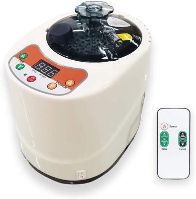 China 2 Liter Modern Portable Sauna Steam Pot Generator For Home Steam Saunas Spa Machine For Body Detox Weight Loss US EU Plug for sale