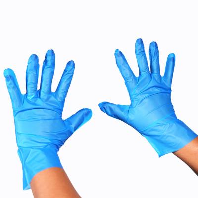 China Wholesale Food Cleaning Vinyl And Strip Disposable Gloves for sale