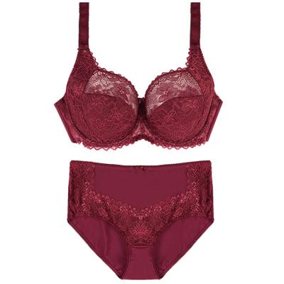 China New Design Lace Tow QUICK DRY Hook-and-Eye Plus Size Comfortable Nylon Lace Bra Panties Set for sale