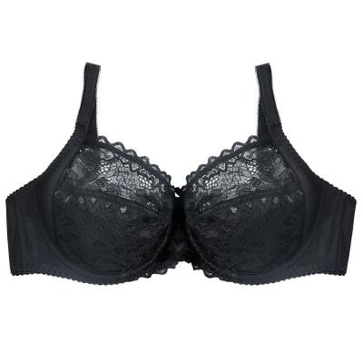 China New style QUICK DRY Underwire lift up sheer lace plus size bras for fat women for sale