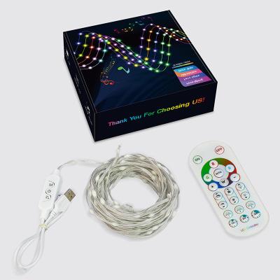 China New Product Christmas Lighting App Control 5V Ip65 Waterproof Leather String Lamp Fairy Lights String Soft Leather Wire Led String Light For Decor. for sale