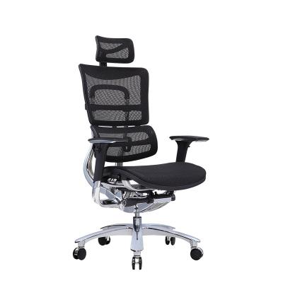 China (Height)Adjustable Mesh High Back Executive Ergonomic Office Chair With Adjustable Lumbar Support for sale