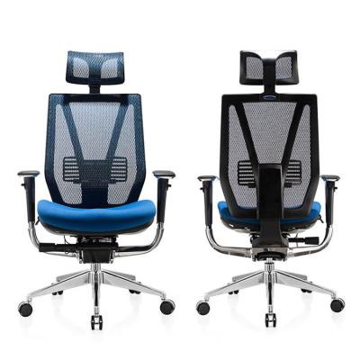 China (Size) JNS-671New 2021 High Mesh Fabric Executive Computer Chair Ergonomic Back Adjustable Design Adjustable Design For Long Time Comfort Sitting for sale