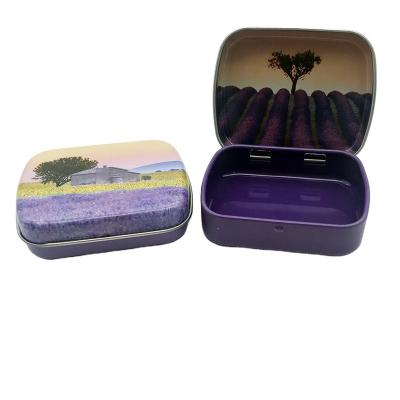 China Custom Food Rectangle Hinged Lid Mint Small Tin Box for sale