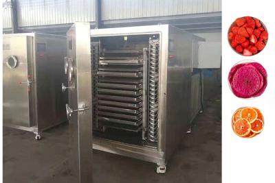 Cina Industrial Freeze Dryer Machine For Drying Fruits Vegetables in vendita