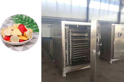 Cina 304 SUS Industrial Freeze Dryer With Bitzer Refrigeration System in vendita