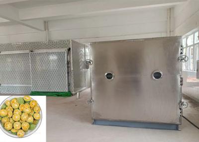 Cina 100kg/Batch Lyophilizer Freeze Dry Machine With Bitzer Unit in vendita