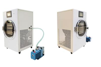 Cina 2000W Mini Freeze Dryer elettrico per la casa in vendita