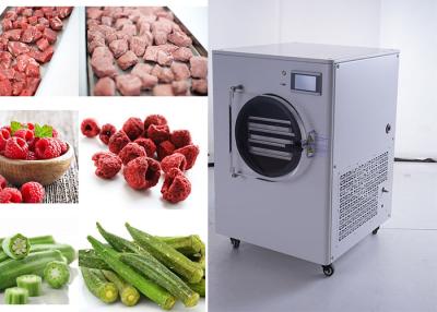 China Electric Heating Home Food Freeze Dryer  6 Trays for sale