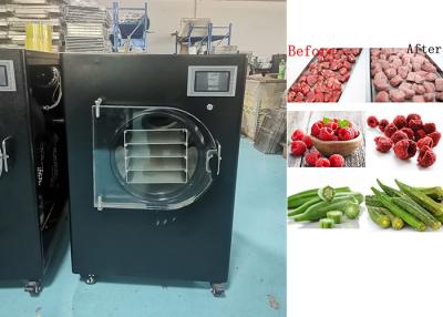 China 6 kg/batch Mini Vriesdroger voor thuis gebruik met LCD touchscreen Te koop