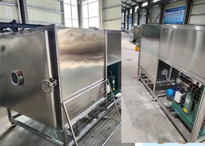 China Electric Heating Vacuum Stayfresh Freeze Dryer Machine In 304 SUS for sale