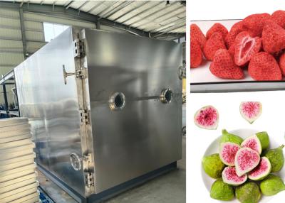 China Large Food  Vacuum Freeze Dryer 300kg/Batch Lyophilizer Drying for sale