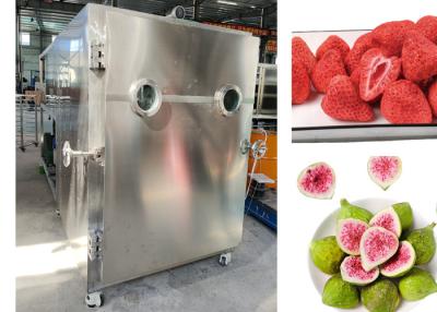 China SUS 304 Pet Food  Vacuum Freeze Dryer Meat Fruit Lyophilizer for sale