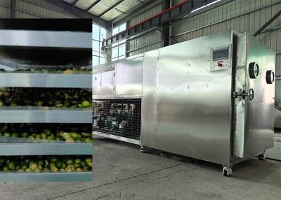 Китай Powerful Bitzer / Leybold Refrigeration System Freeze Dryer For Fruits продается