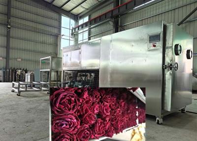 Китай Large Industrial Freeze Dryer For Beverage And Pharmaceutical продается