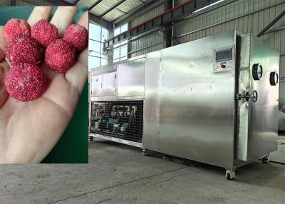 China 200KG Intelligient Food Lyophilizer Freeze Drying Machine for sale