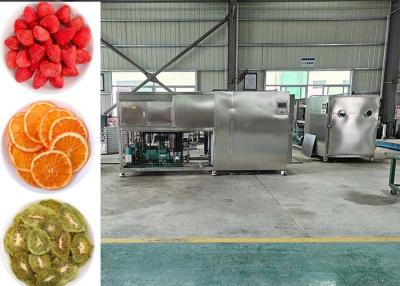 Китай Air Cooled Freeze Dryer 30~35kg/Batch For Fruit Vegetable Drying продается