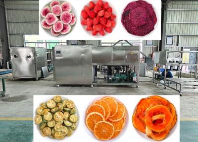 China OEM / ODM Food Vacuum Freeze Dryer Experience Unmatched Freeze Drying Performance for sale