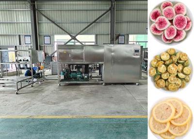 China Air Cooling Food Lyophilizer Freeze Dryer With -35~-45C Degree Vapor Condenser for sale