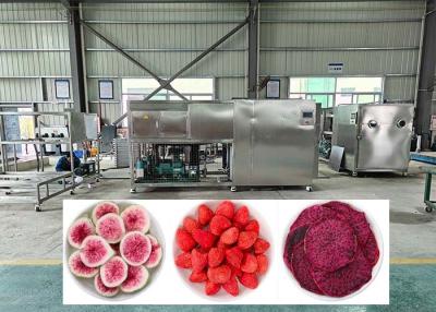 Cina Efficiency Professional Freeze Dehydrator With Cold Trap -40℃ in vendita