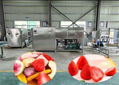 Cina 100kg Per Batch Industrial Freeze Drying Machine With 60dB in vendita