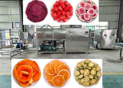 Cina Vacuum 10Pa Freeze Dryer Lyophilizer Machine With PLC Control in vendita