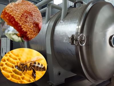 China Custom Drying Industrial Freeze Dryer Equipment Freeze dry Honey for sale