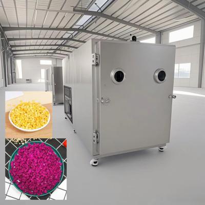 China 50kg 100Kg Groenten vriesdroger Automatische vacuüm vriesdroger machine voor industriële Te koop