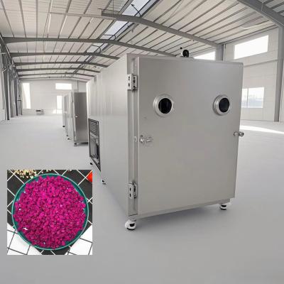 China Air Cooled Food Vacuum Freeze Dryer High Efficient Refrigeration 100 Kg/Batch for sale