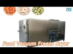 Air Cooled Food Vacuum Freeze Dryer 100 Kg/ Batch Refrigeration High Efficient