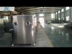 100Kg/batch Capacity Vegetable freeze dryer designed with Baosi or Bitzer Vacuum Pump