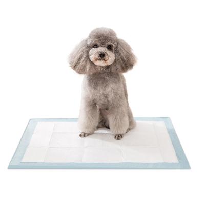 China Durable Indoor Super Absorbent and Leakproof Pet Toilet Training Pads for Puppy Cat Pet Training Pads for sale